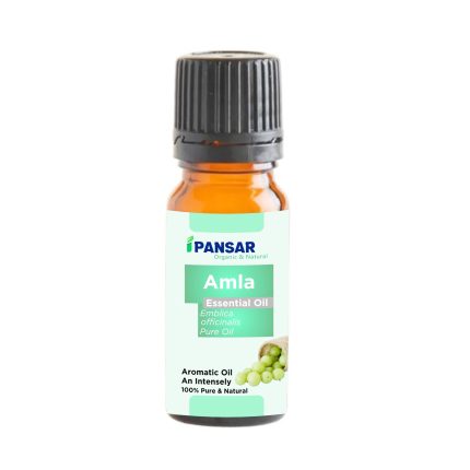 Amla Oil Best Hair Oil For Reducing Hair Fall